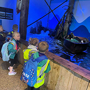 children standing in front of a pool at Sea Zoo