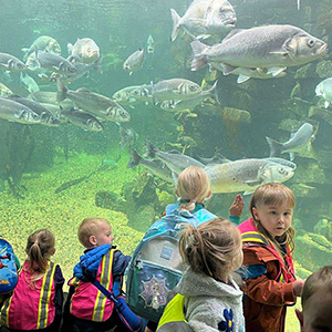 children standing in front of large fish tank at Sea Zoo